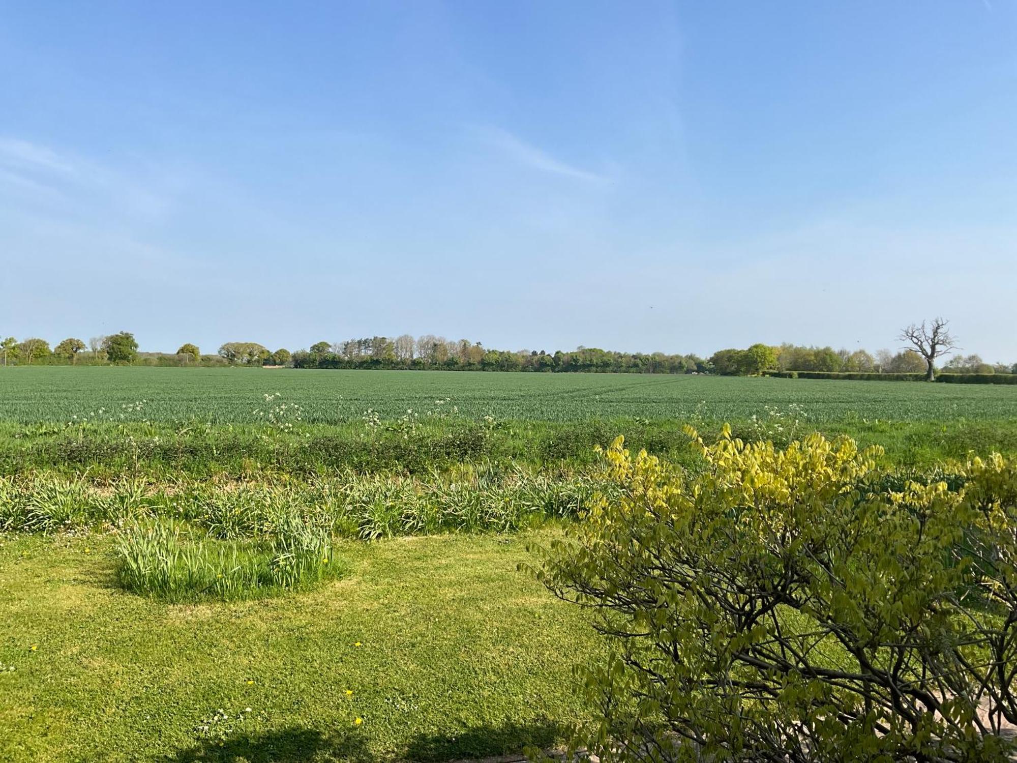 Pheasant Suites Colchester Buitenkant foto