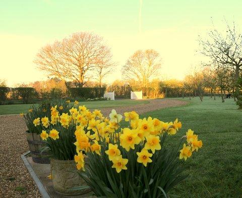 Pheasant Suites Colchester Kamer foto